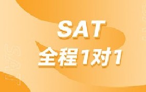 SAT全程1对1