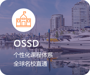 多元化产品体系