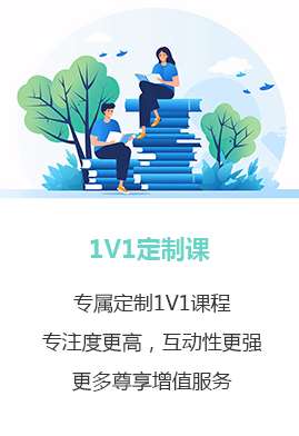 1V1定制课