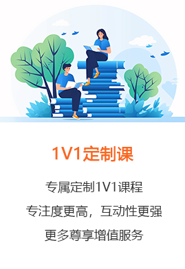 1V1定制课