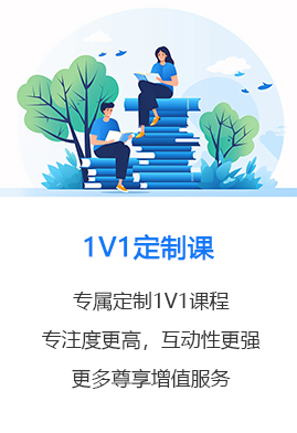 1V1定制课
